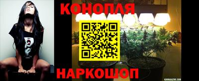 не бодяженный Будённовск
