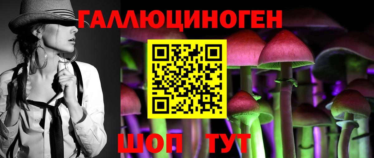 Галлюциногенные грибы Psilocybe  где можно купить наркотик  Среднеуральск  Вход с VPN  Галлюциногенные грибы ЛСД 